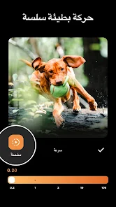 تحميل برنامج انشوت InShot Pro مهكر (بدون علامة مائية) للاندرويد screenshot 4